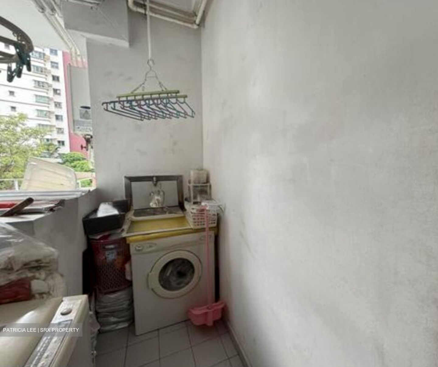 Park Green (D19), Condominium #496725401